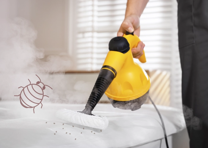 Behandlung von Bettwanzen in Olten 4600